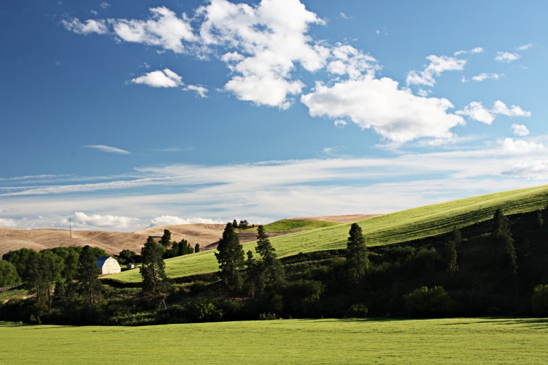 PALOUSE EVENING 01