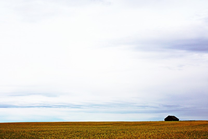 PALOUSE FIELDS Digital