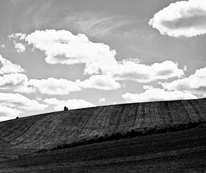 Palouse Fields 01 B&W